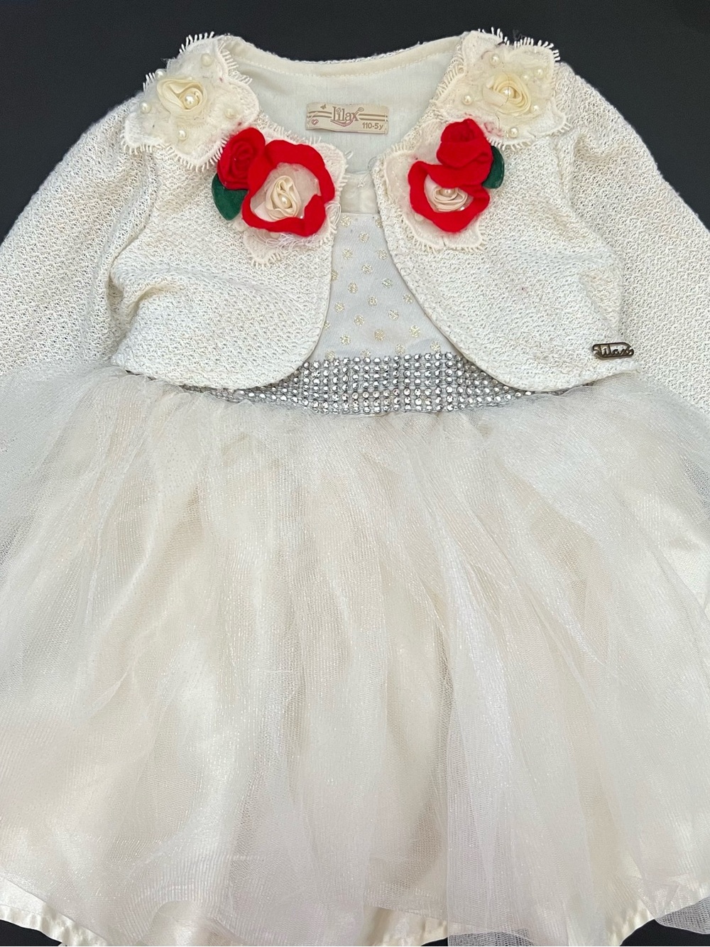Elegant Cream Tulle Party Dress with Red Rose Accents - Kids Costume